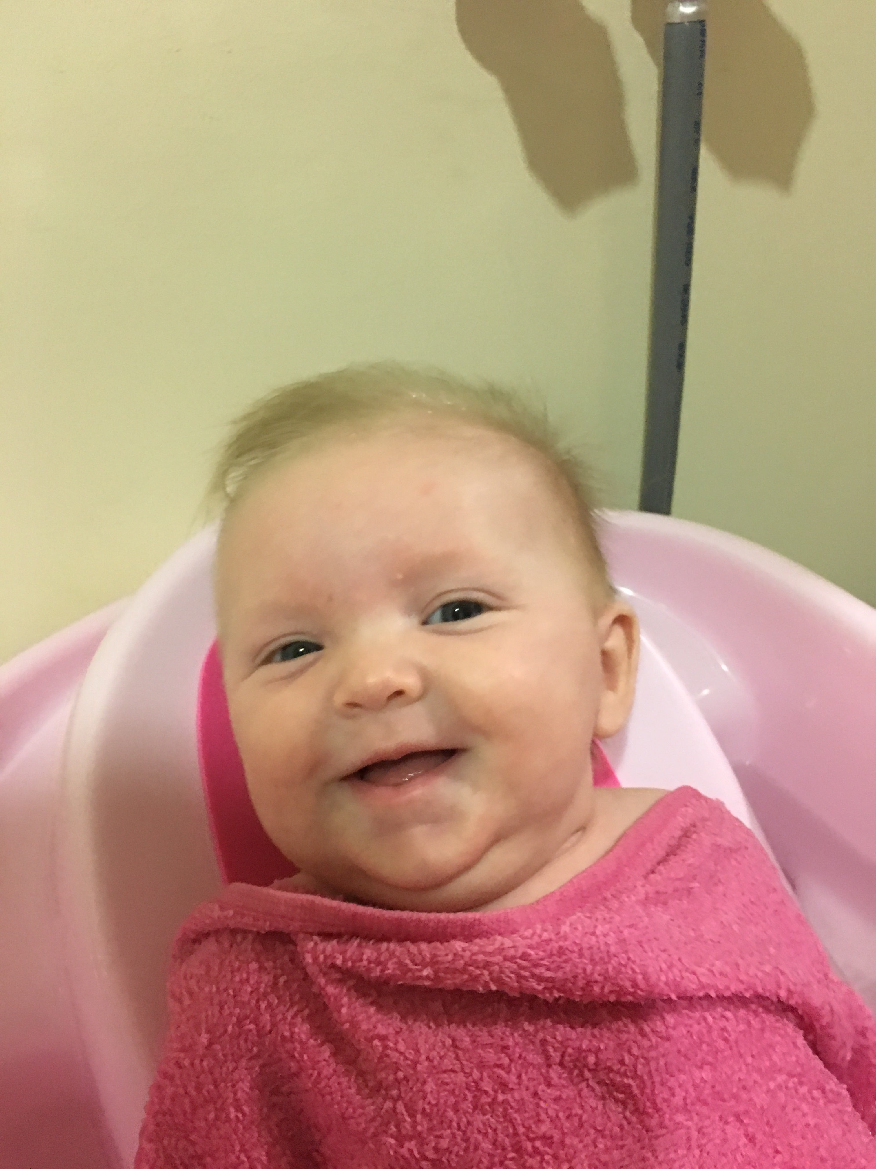 Our Little Pocket Rocket: Life with Ruby